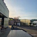 889 | 용인 N번째 방문 찐맛집] 텍사스 브리스킷 그자체 '루트889' 내돈내산 솔직후기