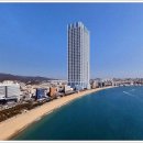 해운대 티스토리