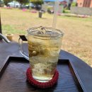 야탑초교 앞 이미지