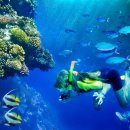 생활건강 테이핑&마사지 이미지