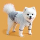 코코앤그레이 이미지