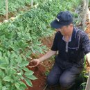 김중열농장 이미지