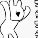 리브동물의료센터 이미지