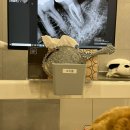 판교 최용훈치과의원 이미지