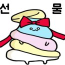 원당애견미용 이미지