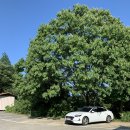 카페레오나 | [카페로그 EP.11] 카페레오나 내돈내산 후기