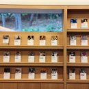 서가족발 이미지