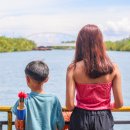 해나비농장 | 보홀여행 필리핀 보홀 육상투어 업체 코스 추천