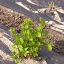 한백농장 이미지