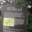 우면산5-3 이미지