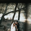 품마을국제결혼 이미지