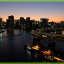 편안한 동물병원 이미지