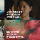 새로운 광고