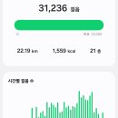 (주)양지 | [단기알바] 양지 올리브영 물류센터 PAS 피킹 후기/단프라 도둑질 당한 후기🫠