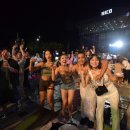 주식회사 몬스터웨이브 이미지