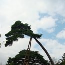 칠선펜션 이미지