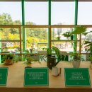 영흥수목원 야외 이미지