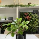 둔산중로-50 이미지