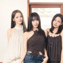 다시온라이프 마이데일리