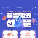 그릿 크로스핏 이미지