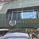 레오그루밍 | 자카르타 고양이 동물병원 _ Petlove Center