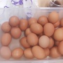 청하 에그린 이미지