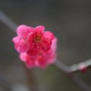 한화농원 이미지