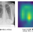 프로메디우스(주) 이미지