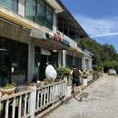 가인강산 | 문경 가인강산 여름 계곡 물놀이 콩순이와 메밀총각 맛집 후기