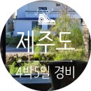 해성파크텔 | [제주도] 그 돈이면 동남아 가지 않아? 4박 5일 경비