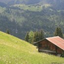 자연속의 집 이미지