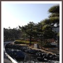 부경대학교(대연캠퍼스) 이미지