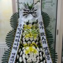 (주)알지비 Daum카페