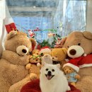 이재룡의 뭉개뭉개 유치원 이미지