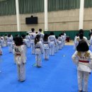 단국대 본태권도 이미지