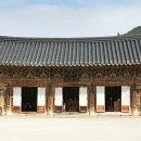 통도사 티스토리
