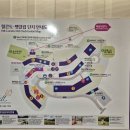 주식회사현대수리조트 | 🎿 하이원리조트 스키장 방문후기｜주차·리프트·슬로프 총정리