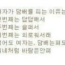 베이프베이프전자담배 이미지