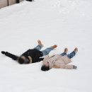 pet26라3453 | 젊은 유방암 삼중음성 2기 1년11개월차 생존신고, 잘 지내는 이야기, 복직 이후 현실, PT샵 추천