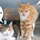용화로 이미지