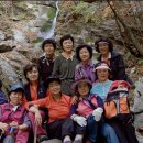 1.12월 둘째주- 12월 7일 ~ 12월 13일 ; 의사가 호들갑을 떨다. 이미지