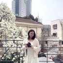 (주)굿뉴스여행사 | 서울 용산 목련뷰 카페 명소 굿뉴스 카페앤모어 애견 동반 포토존 실시간 개화 현황