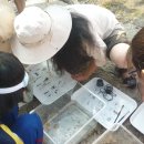 갈현초등 이미지