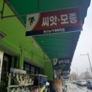 풍년종묘농약사 이미지