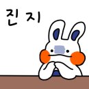 빠뜨(PATE) 이미지