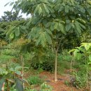 송연농장 이미지