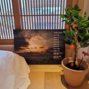 담은 스테이 이미지