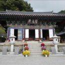 일향(一香) 이미지