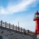테마투어(목장 체험) 이미지