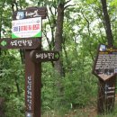 인천남중학교 북도분교 이미지